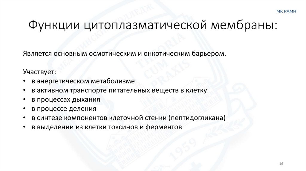 Функции цитоплазматической мембраны: