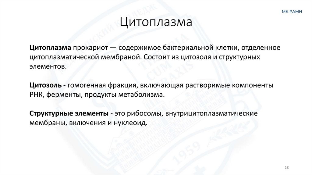 Цитоплазма