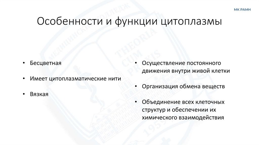 Особенности и функции цитоплазмы