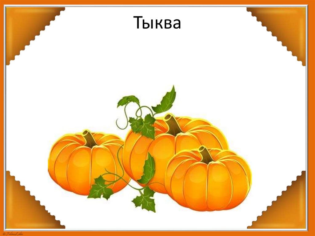 Тыква