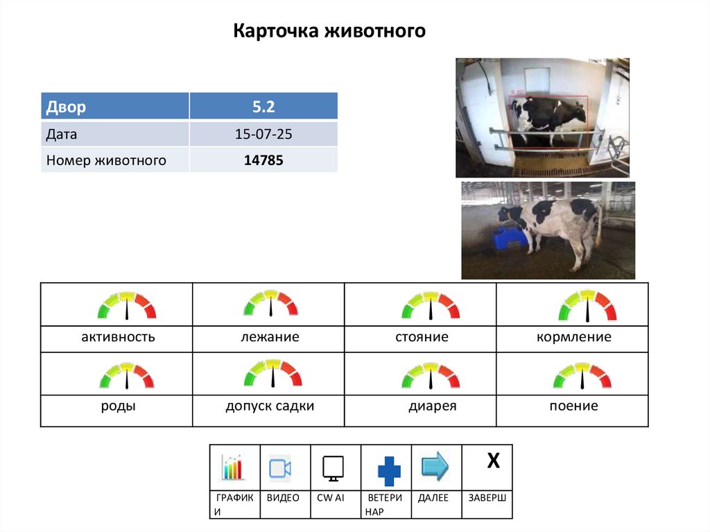 Карточка животного