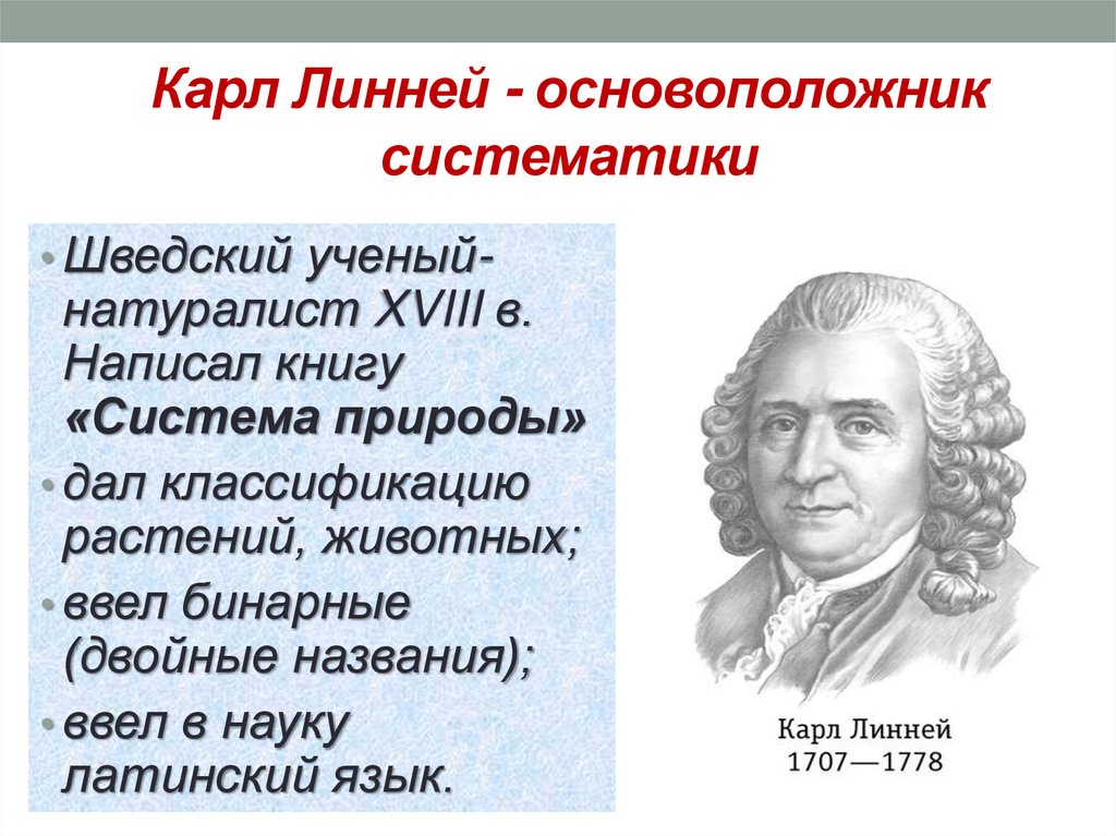 Карл Линней - основоположник систематики