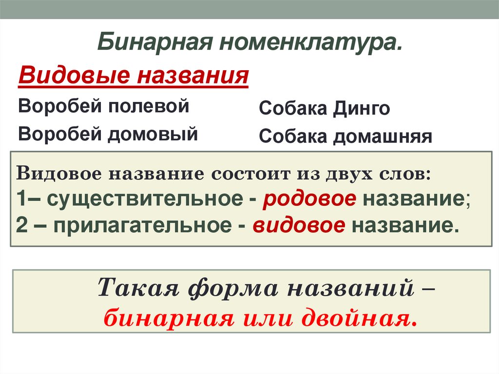 Бинарная номенклатура.