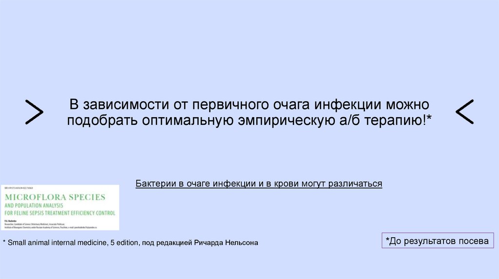 В зависимости от первичного очага инфекции можно подобрать оптимальную эмпирическую а/б терапию!*