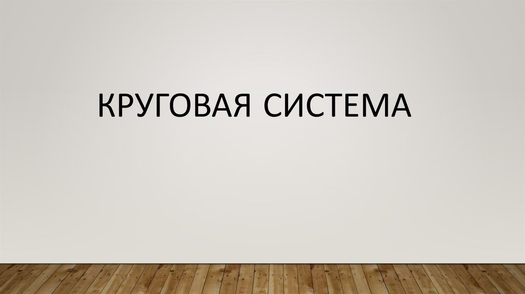КРУГОВАЯ СИСТЕМА