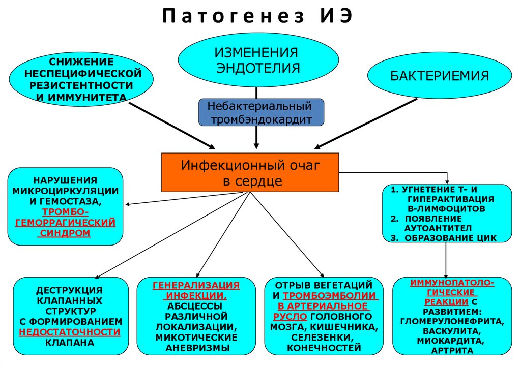 П а т о г е н е з И Э