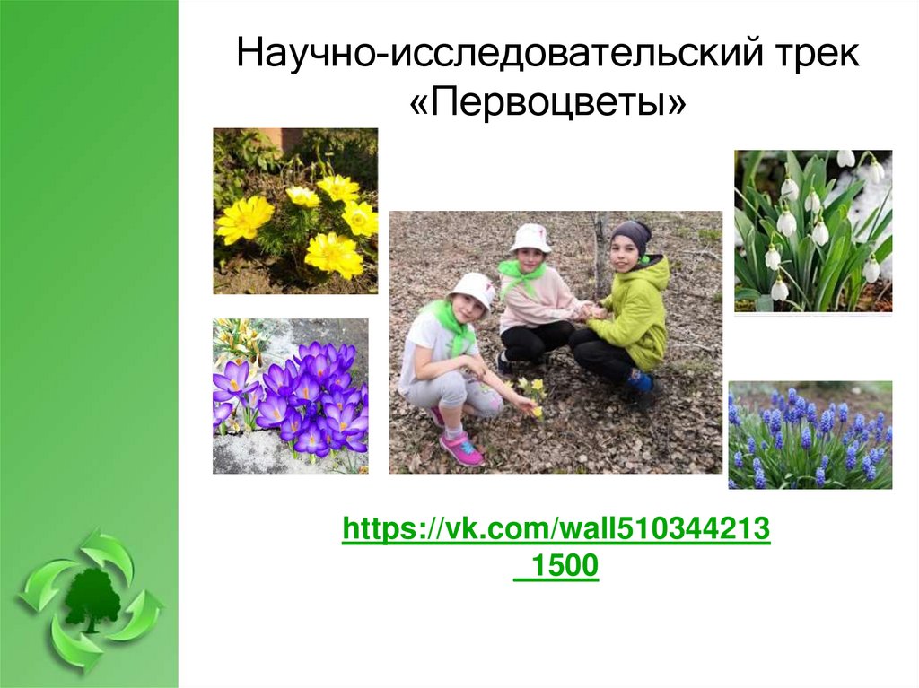 Научно-исследовательский трек «Первоцветы»