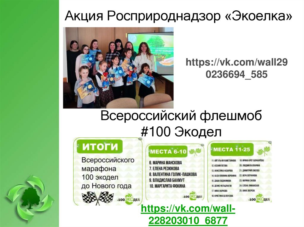 Акция Росприроднадзор «Экоелка»