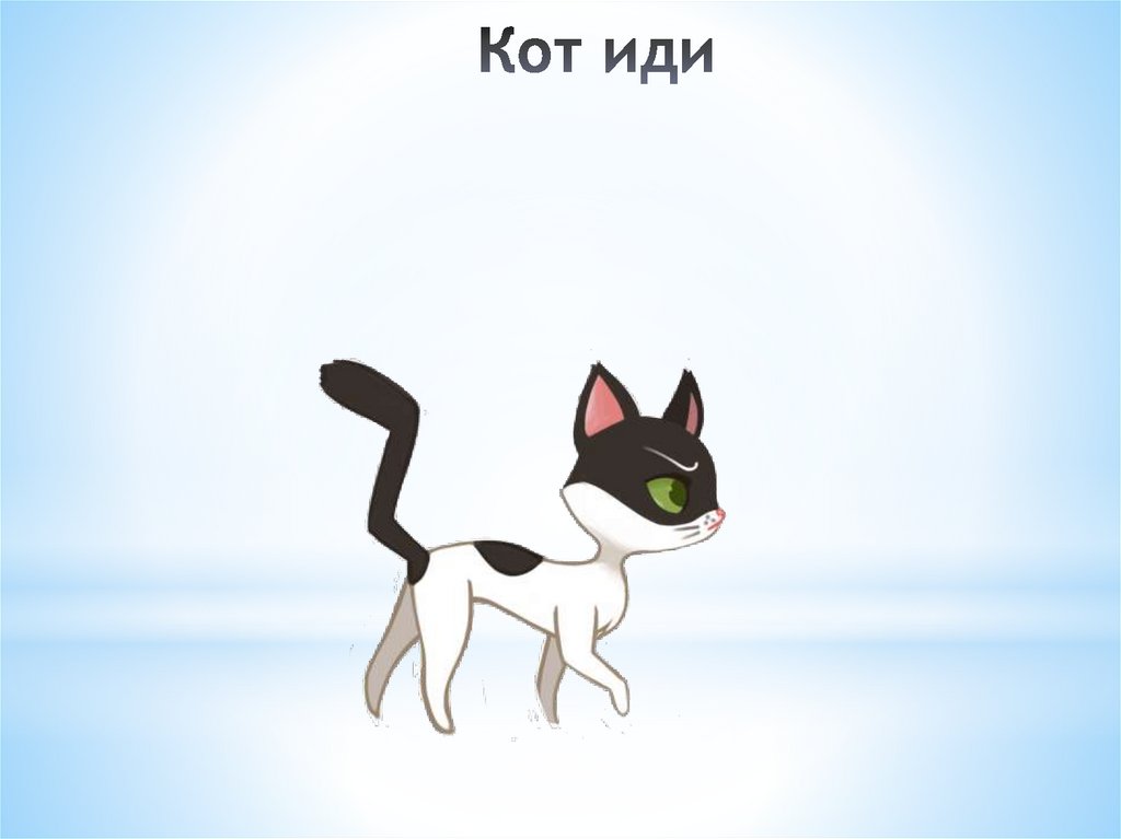 Кот иди