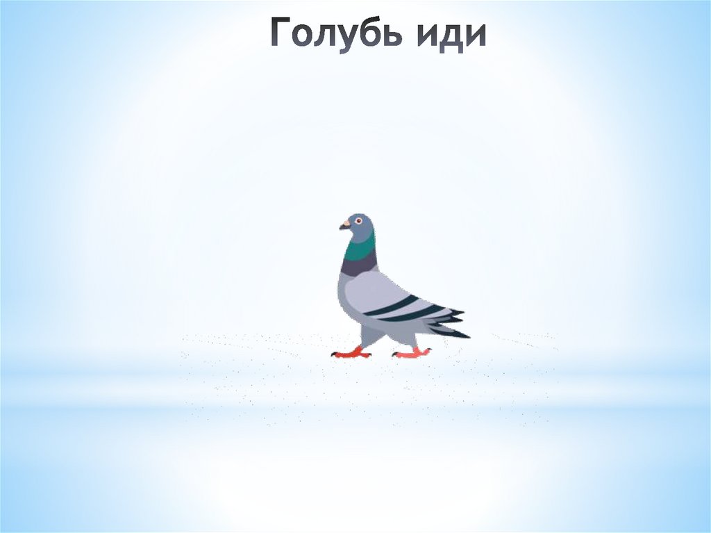Голубь иди