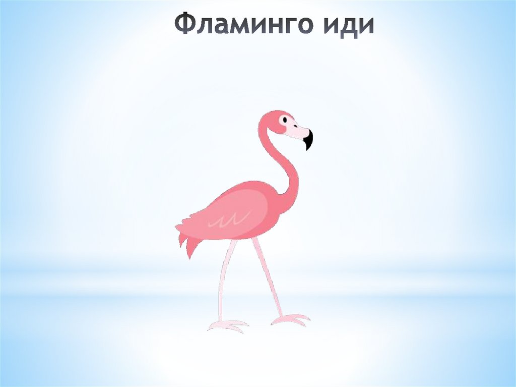 Фламинго иди