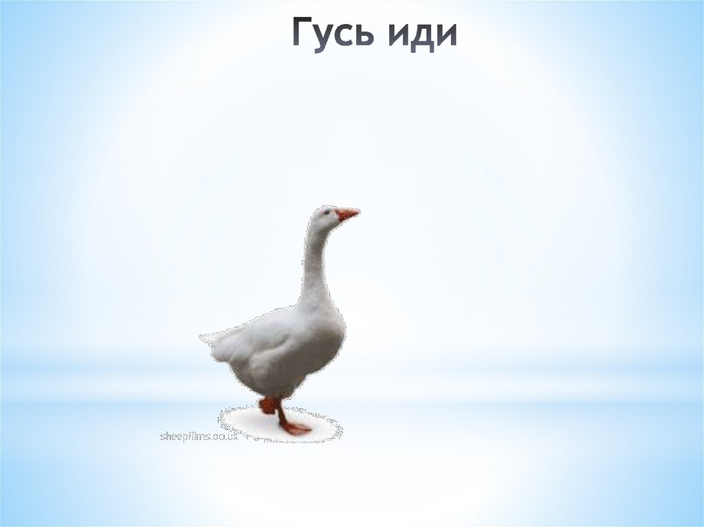 Гусь иди