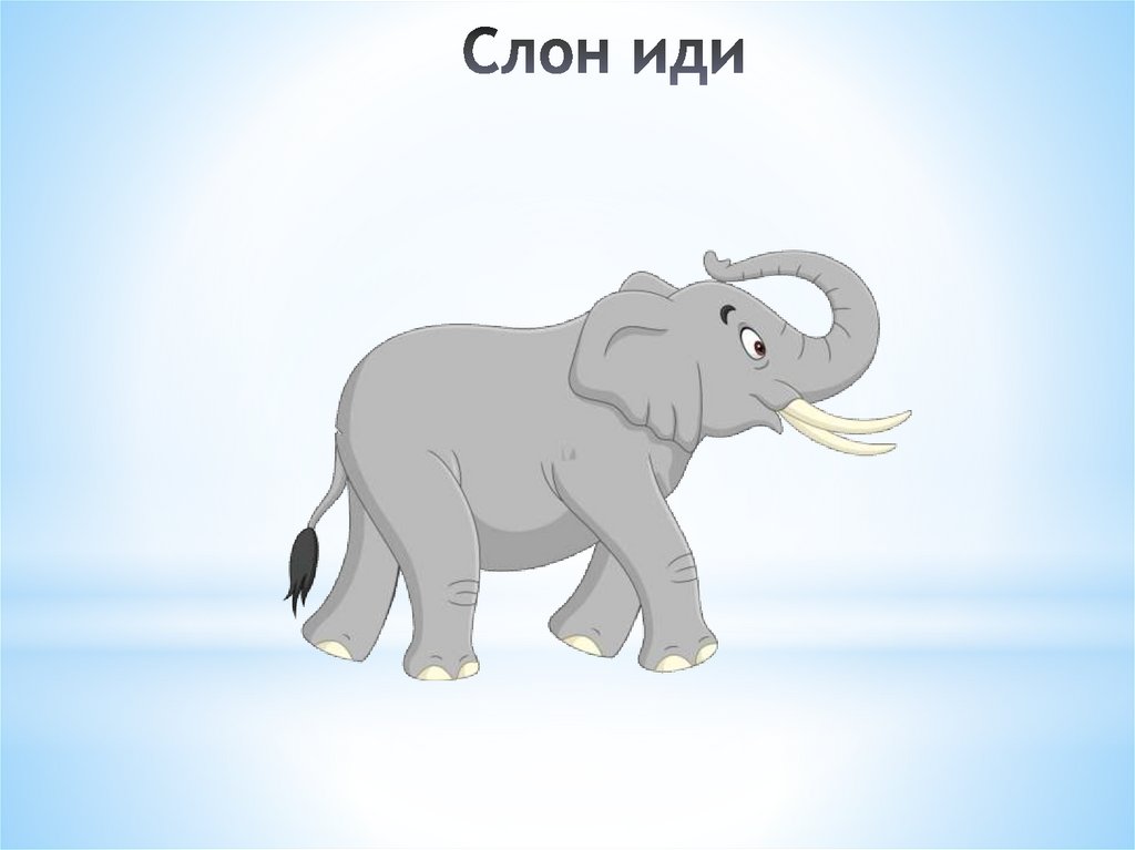 Слон иди