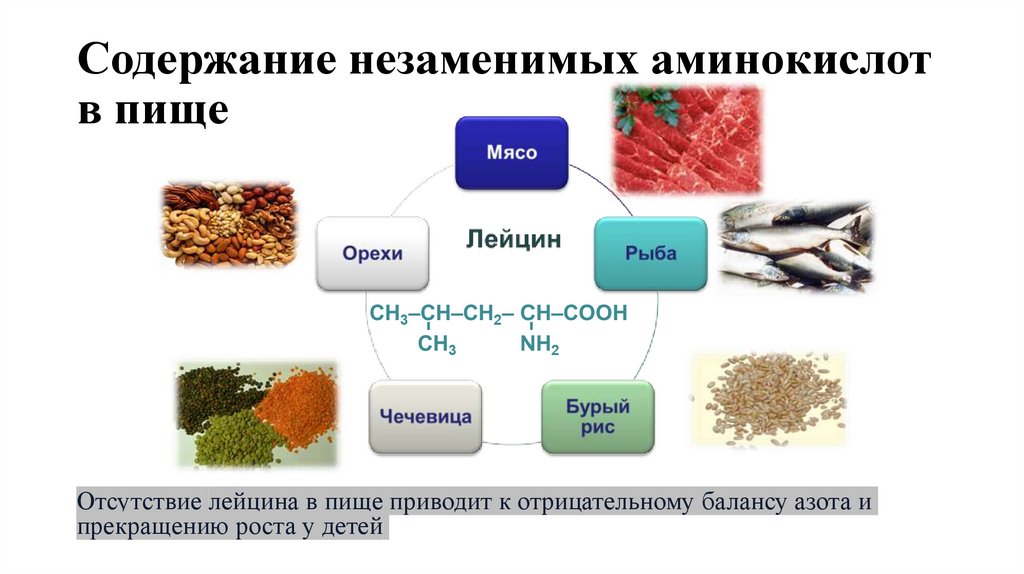 Содержание незаменимых аминокислот в пище