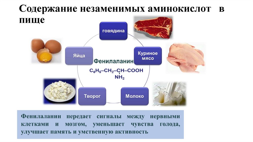 Содержание незаменимых аминокислот в пище