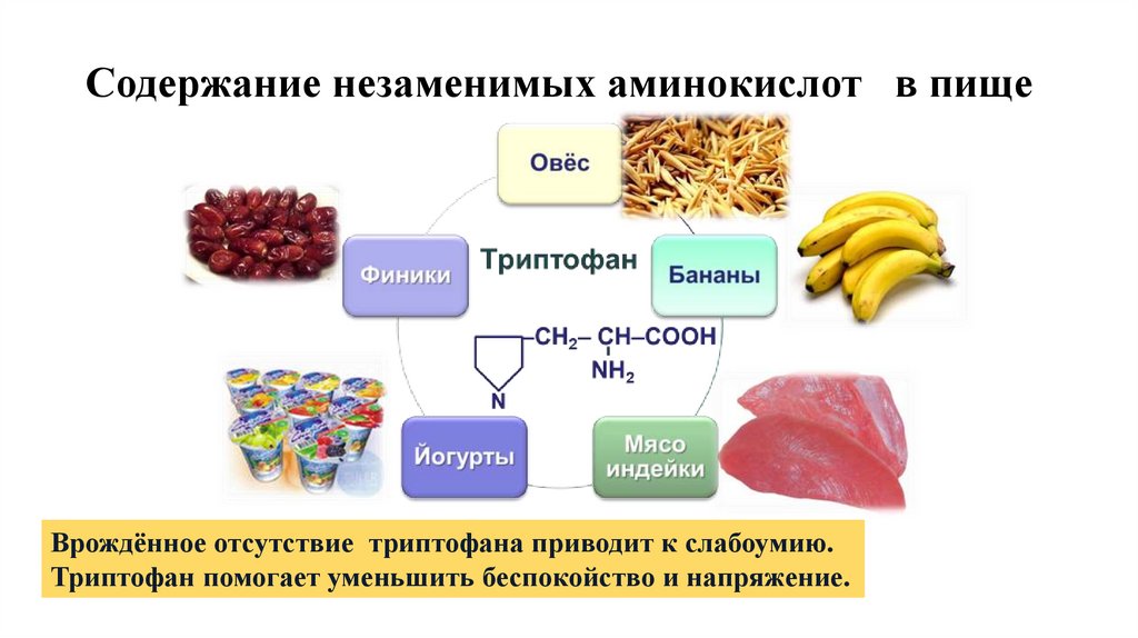 Содержание незаменимых аминокислот в пище