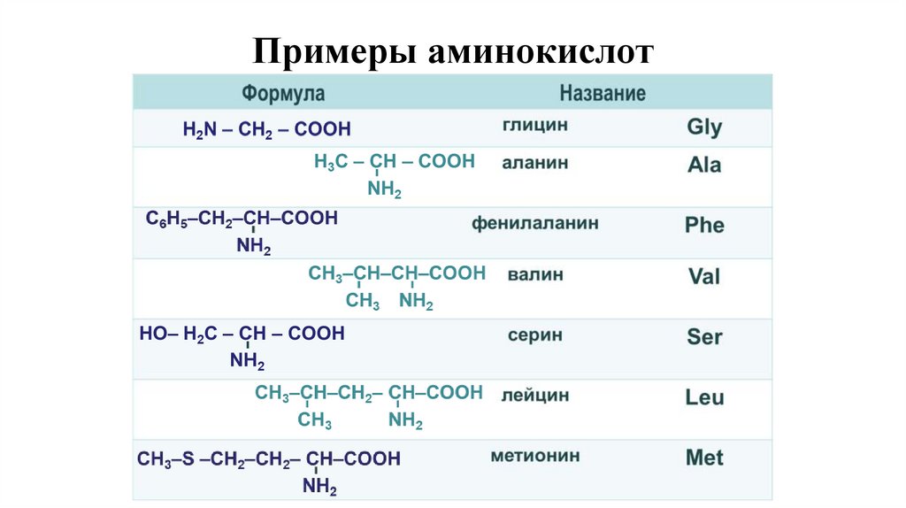 Примеры аминокислот
