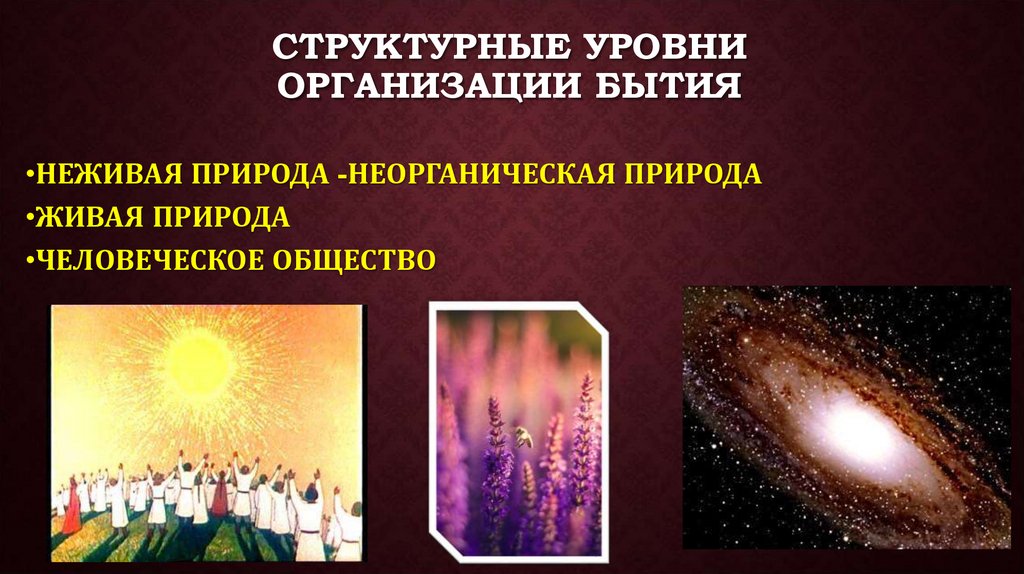 Структурные уровни организации бытия