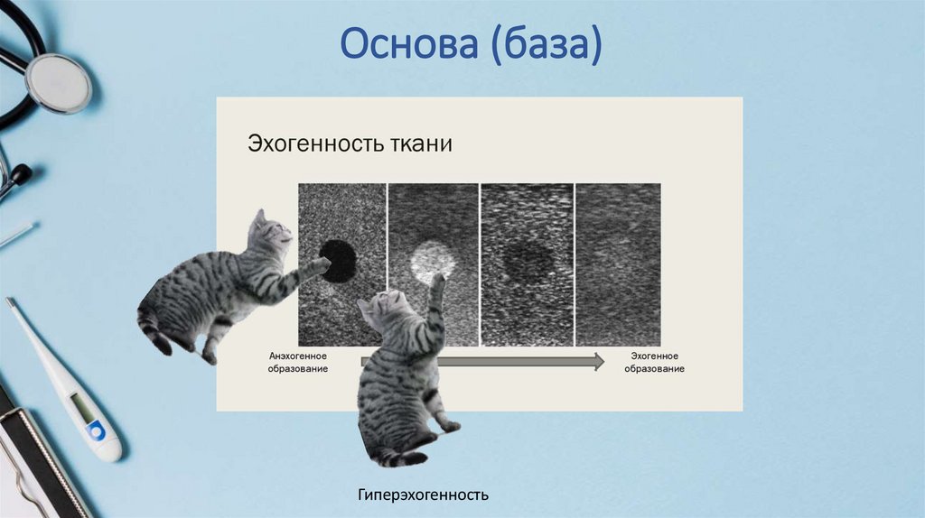 Основа (база)