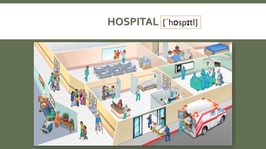 hospital