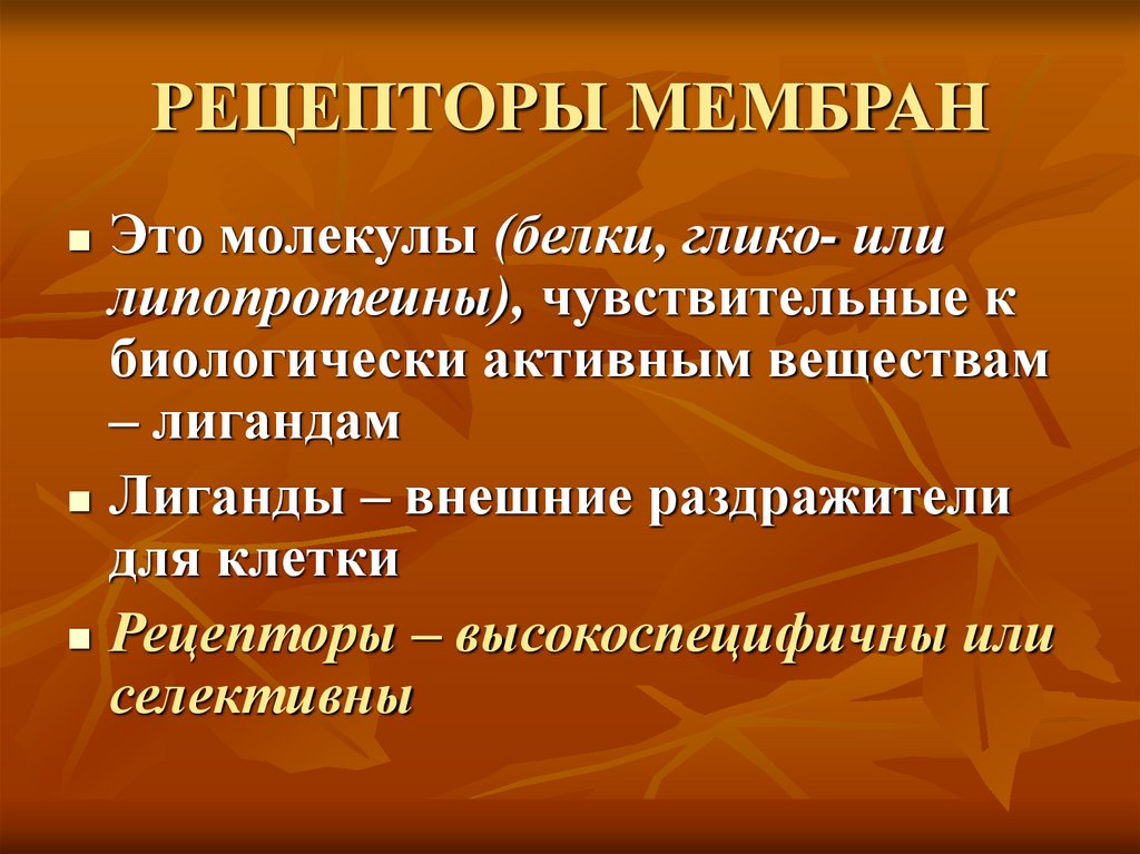 РЕЦЕПТОРЫ МЕМБРАН