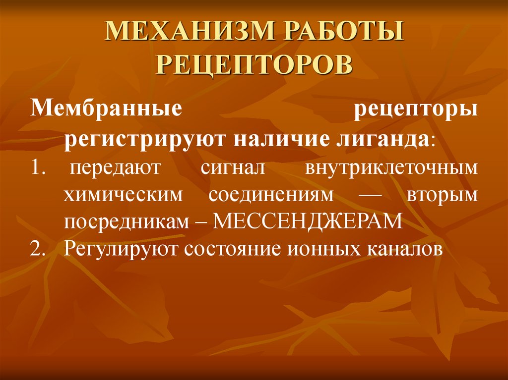 МЕХАНИЗМ РАБОТЫ РЕЦЕПТОРОВ