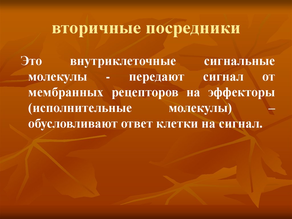 вторичные посредники