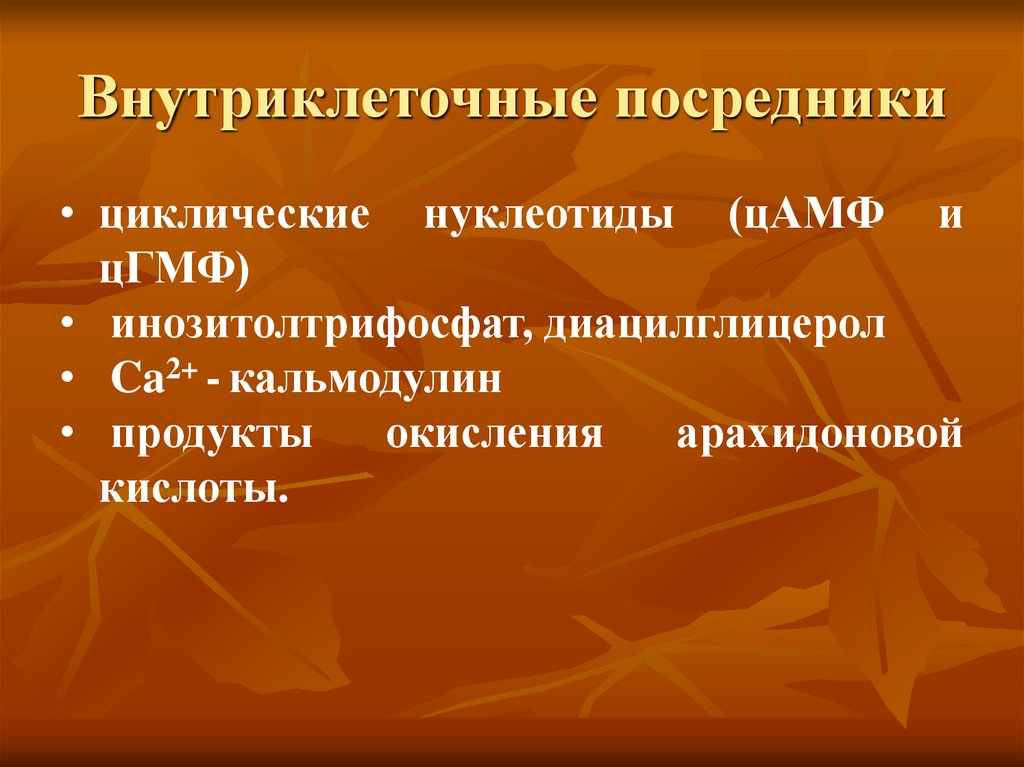 Внутриклеточные посредники