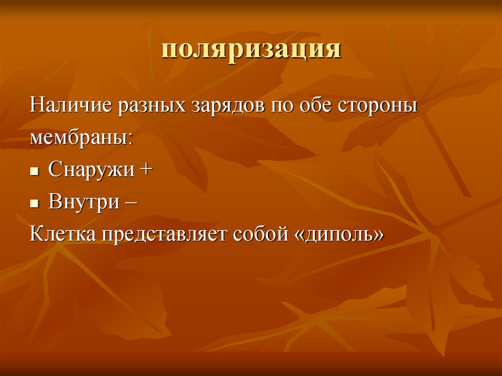 поляризация