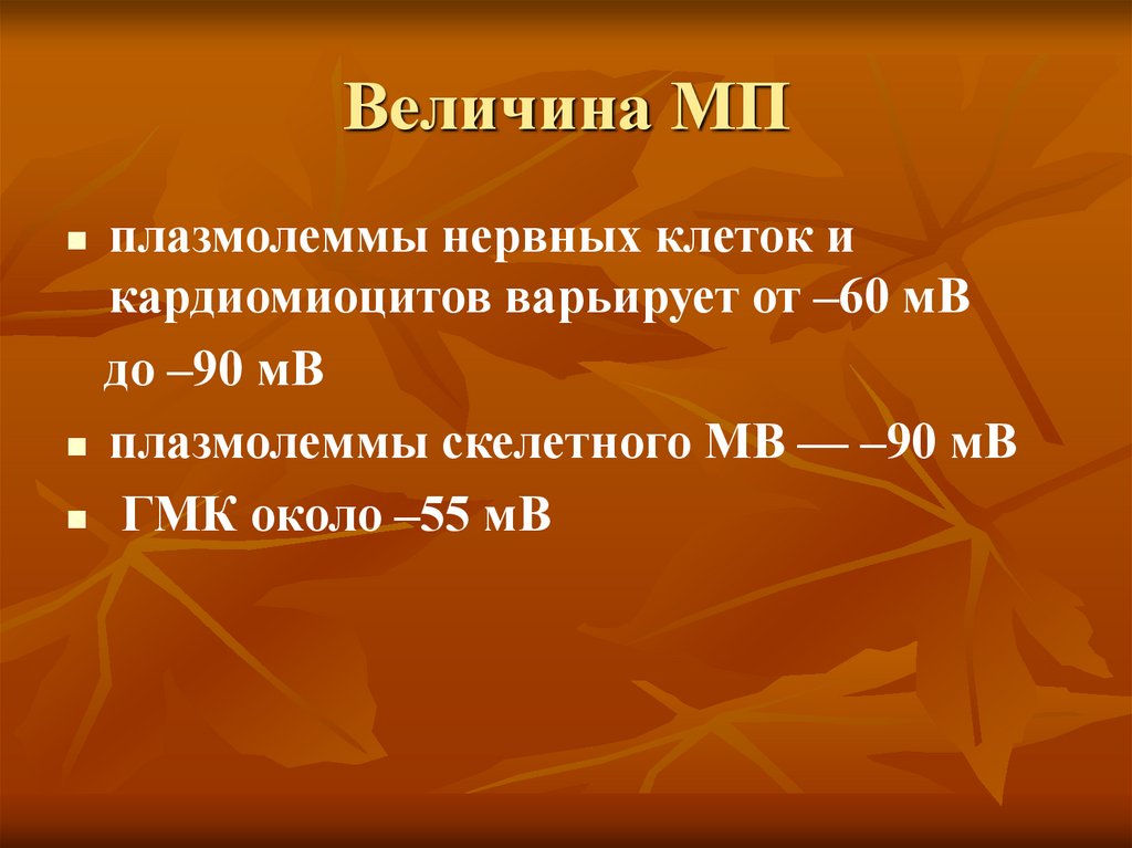 Величина МП