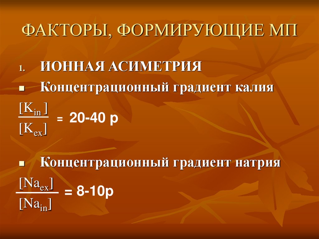 ФАКТОРЫ, ФОРМИРУЮЩИЕ МП