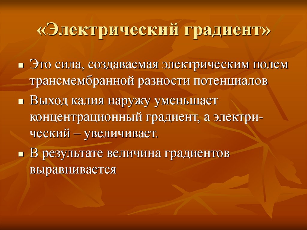 «Электрический градиент»