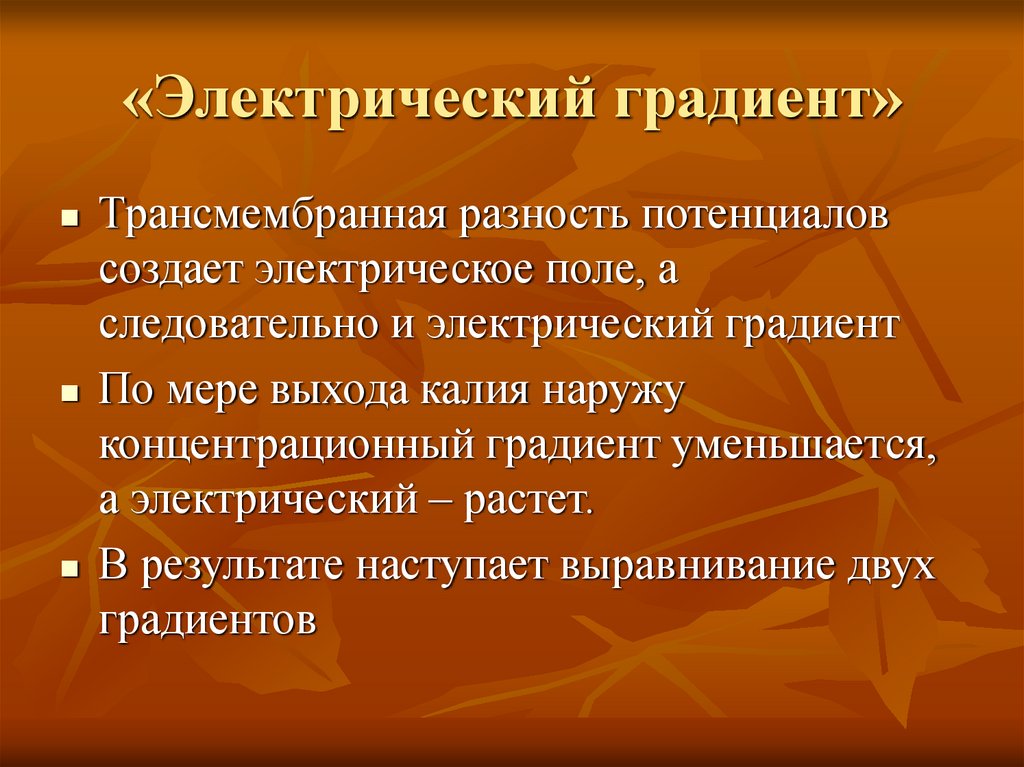 «Электрический градиент»