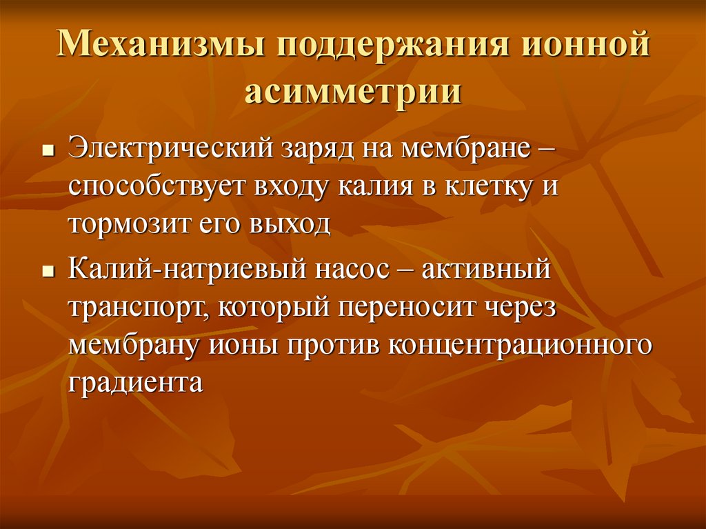 Механизмы поддержания ионной асимметрии