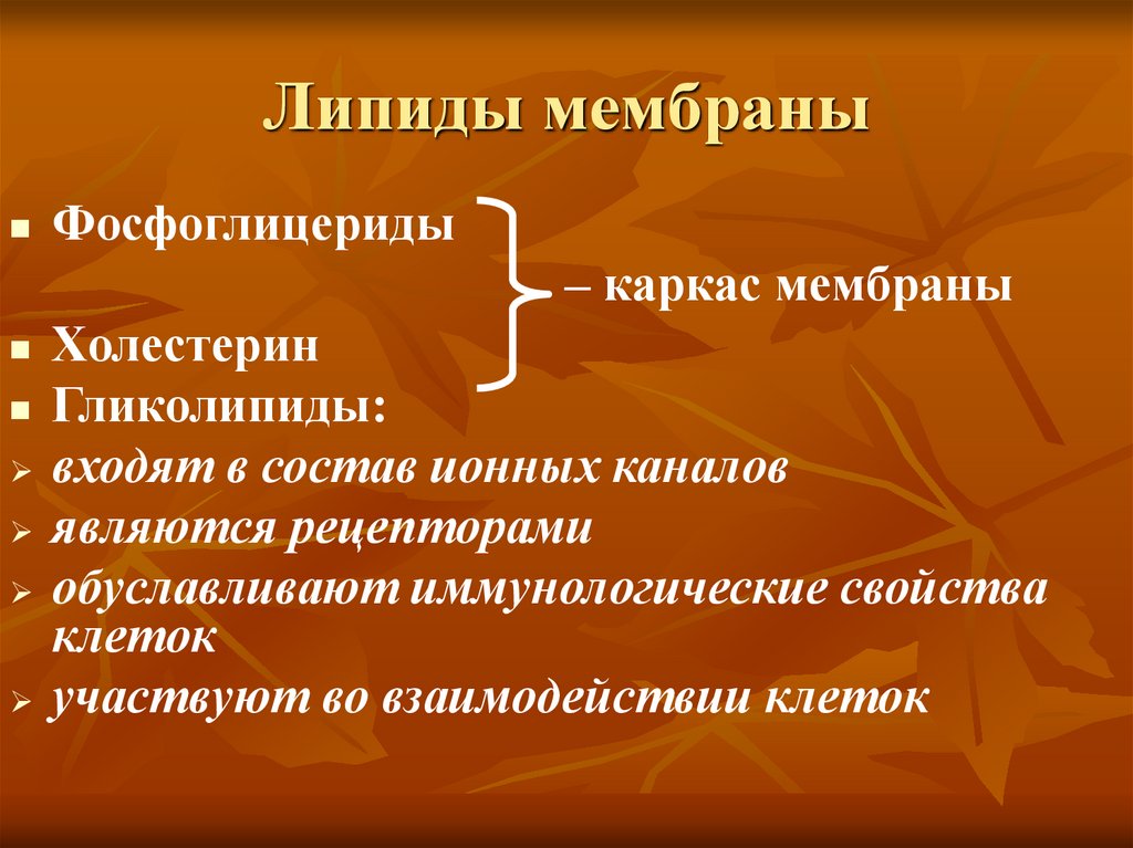 Липиды мембраны