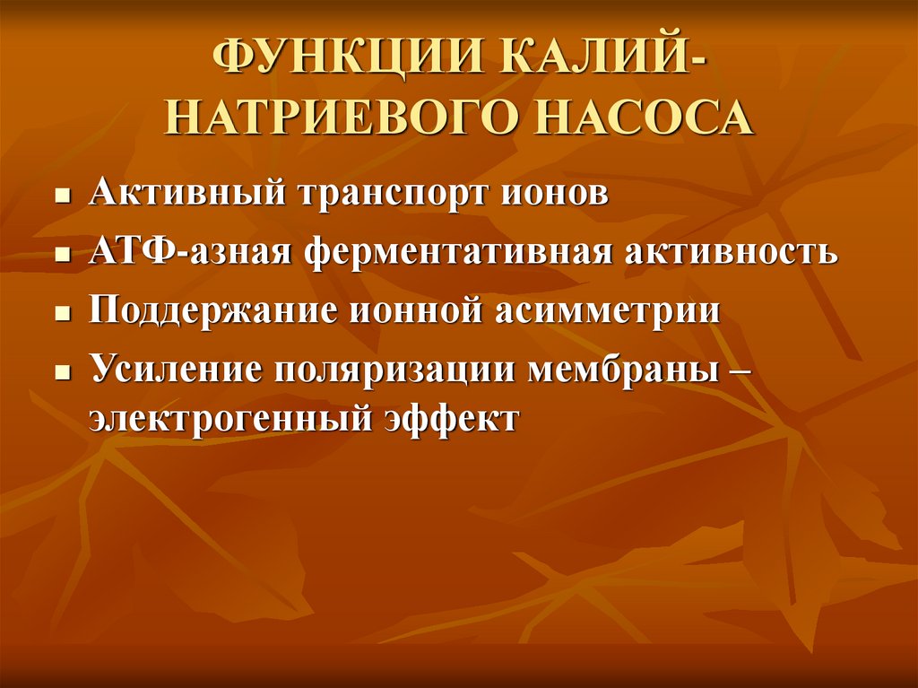 ФУНКЦИИ КАЛИЙ-НАТРИЕВОГО НАСОСА