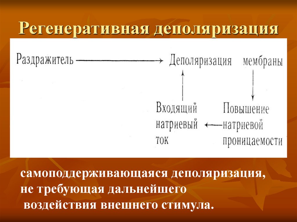 Регенеративная деполяризация