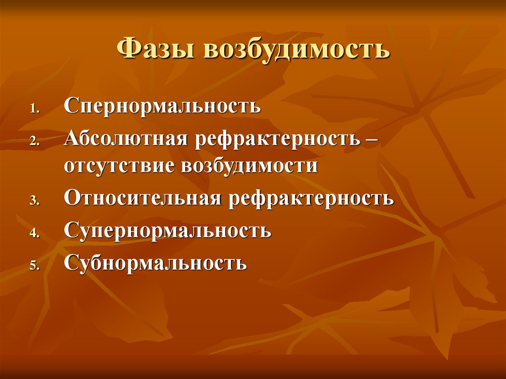 Фазы возбудимость