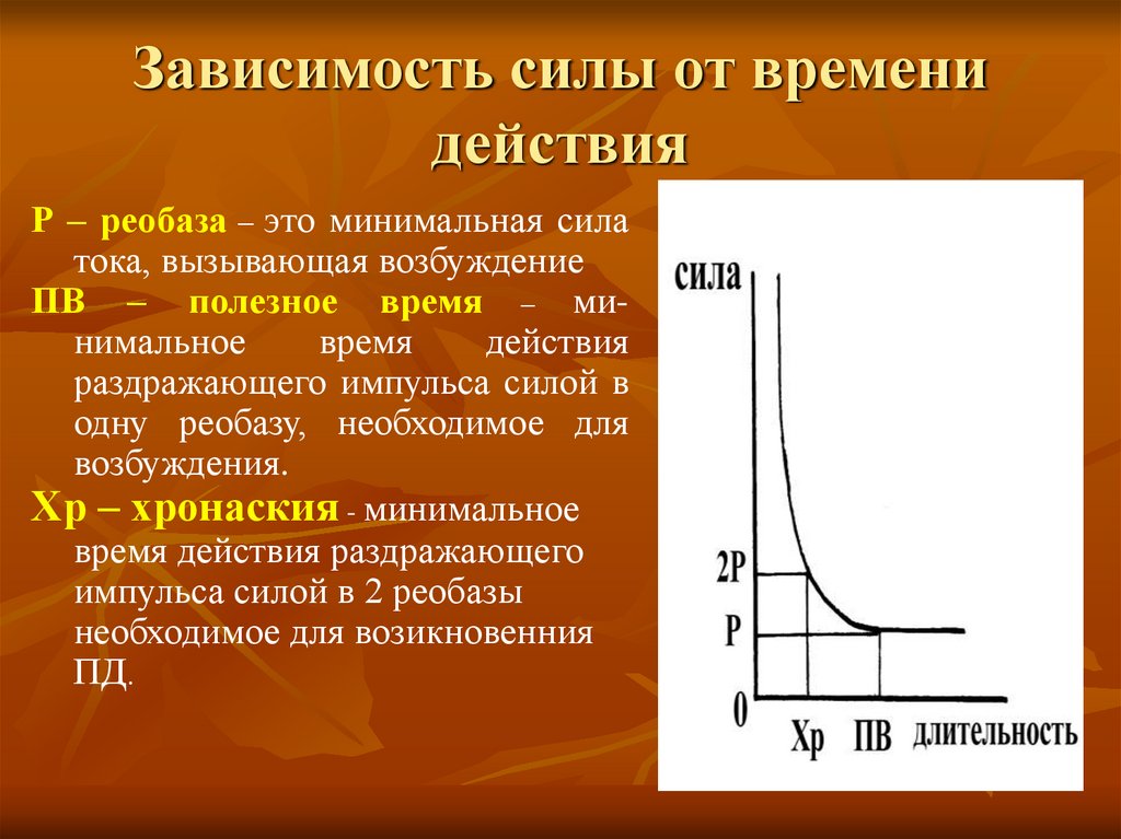 Зависимость силы от времени действия