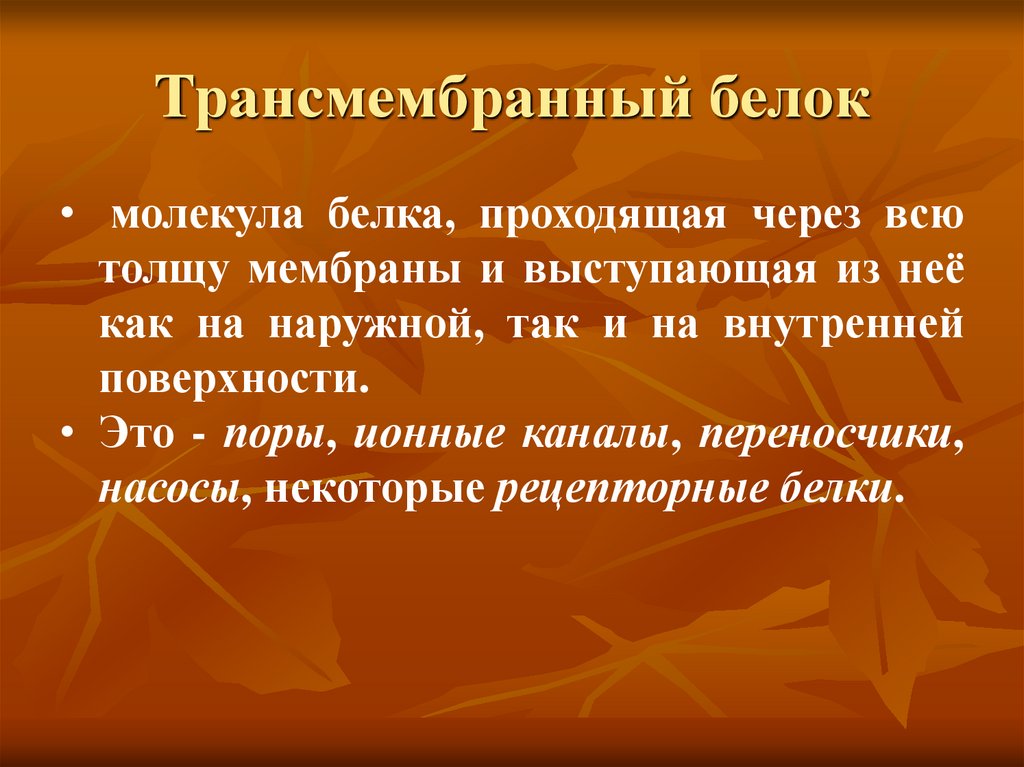 Трансмембранный белок