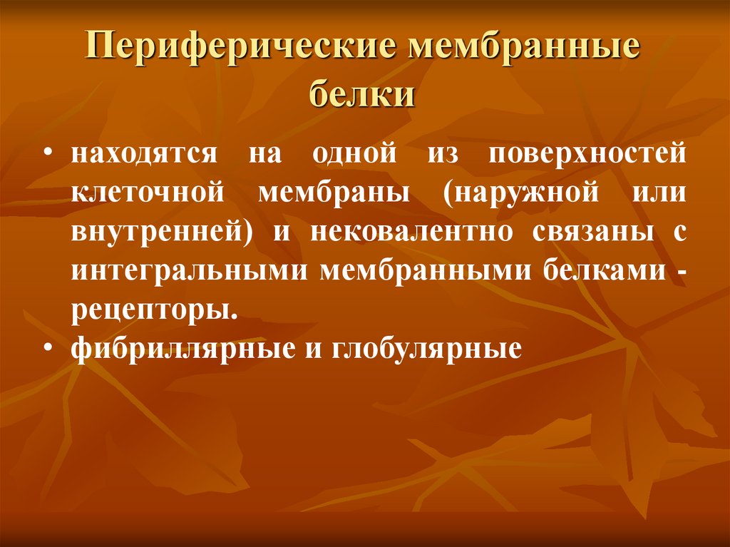 Периферические мембранные белки