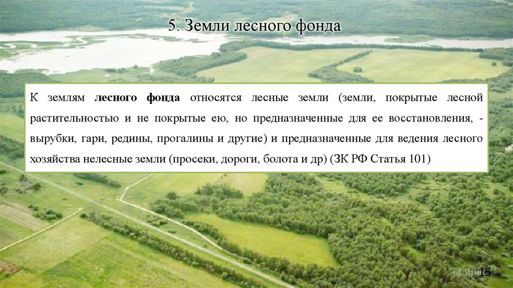 5. Земли лесного фонда