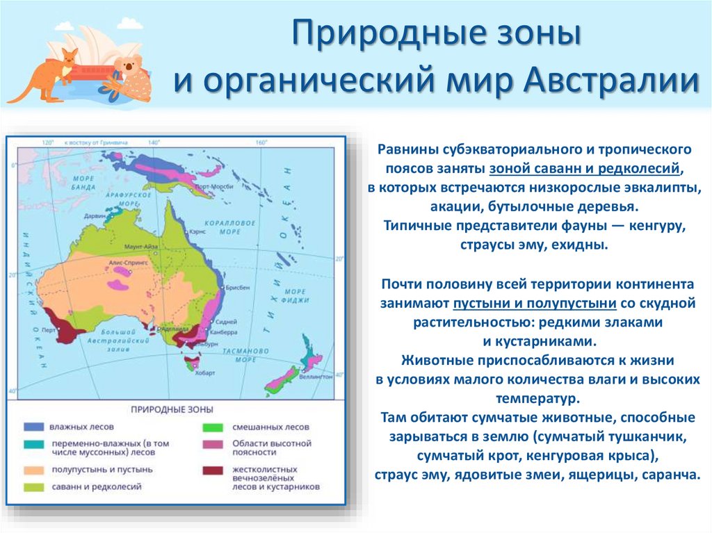 Природные зоны и органический мир Австралии
