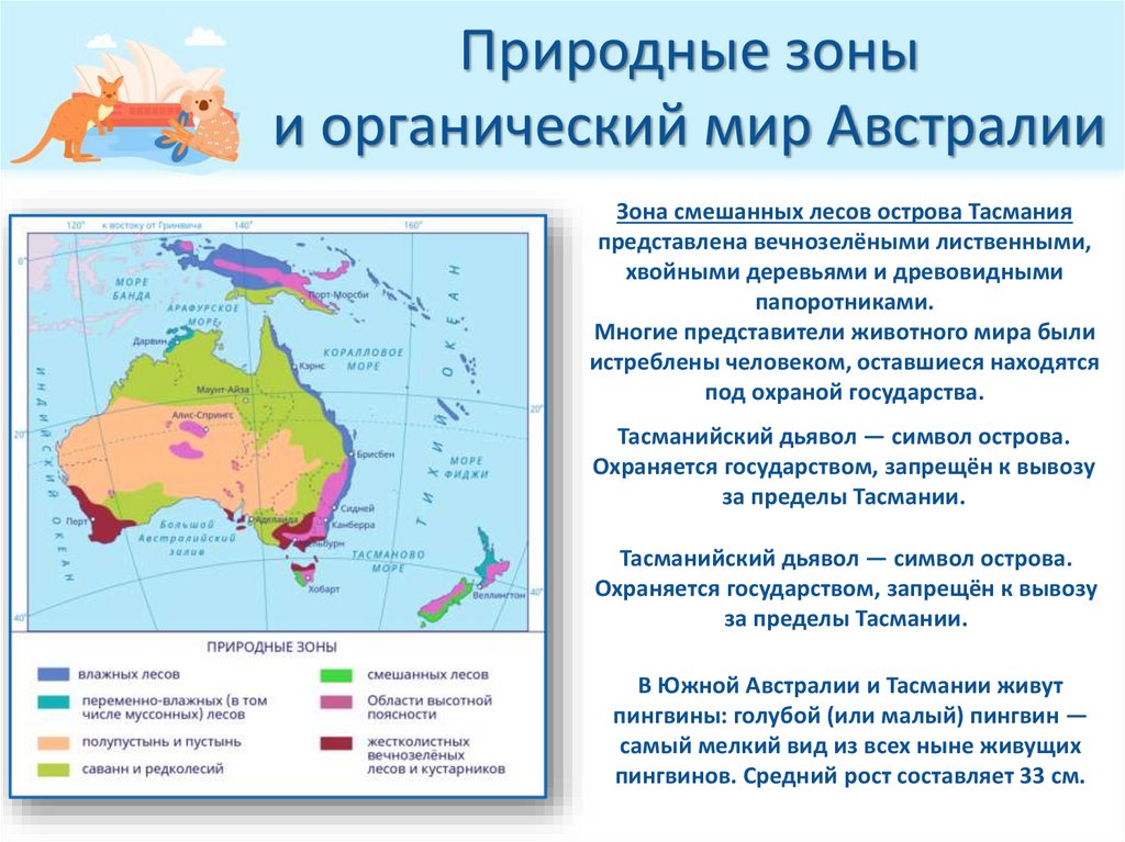 Природные зоны и органический мир Австралии