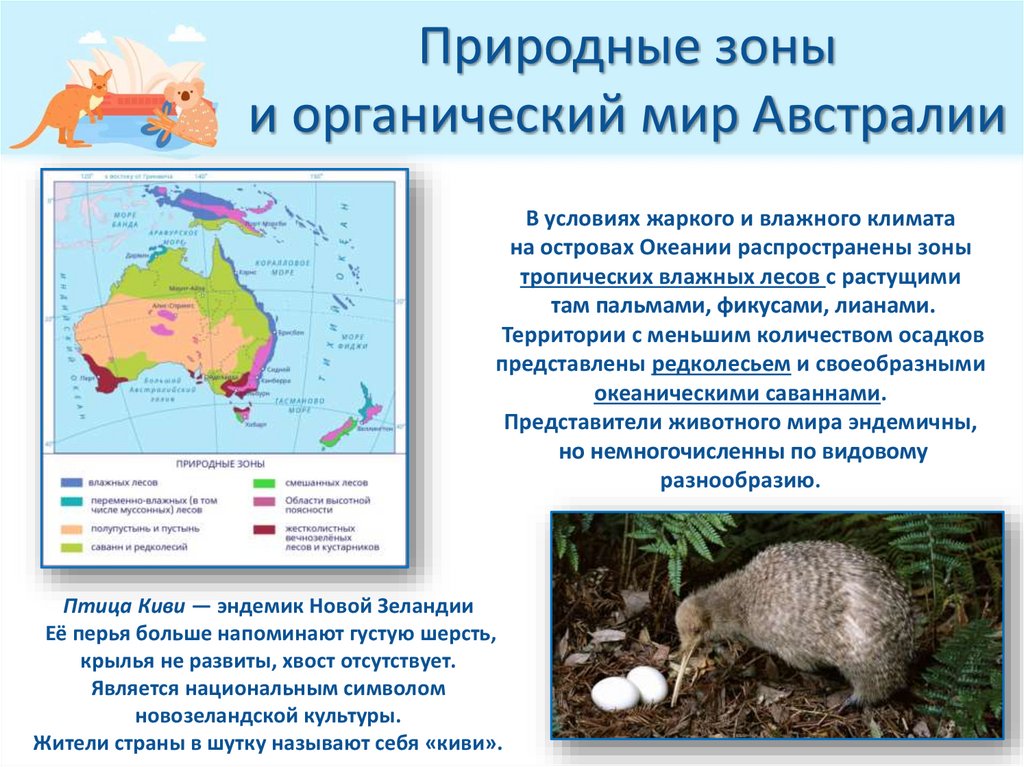 Природные зоны и органический мир Австралии