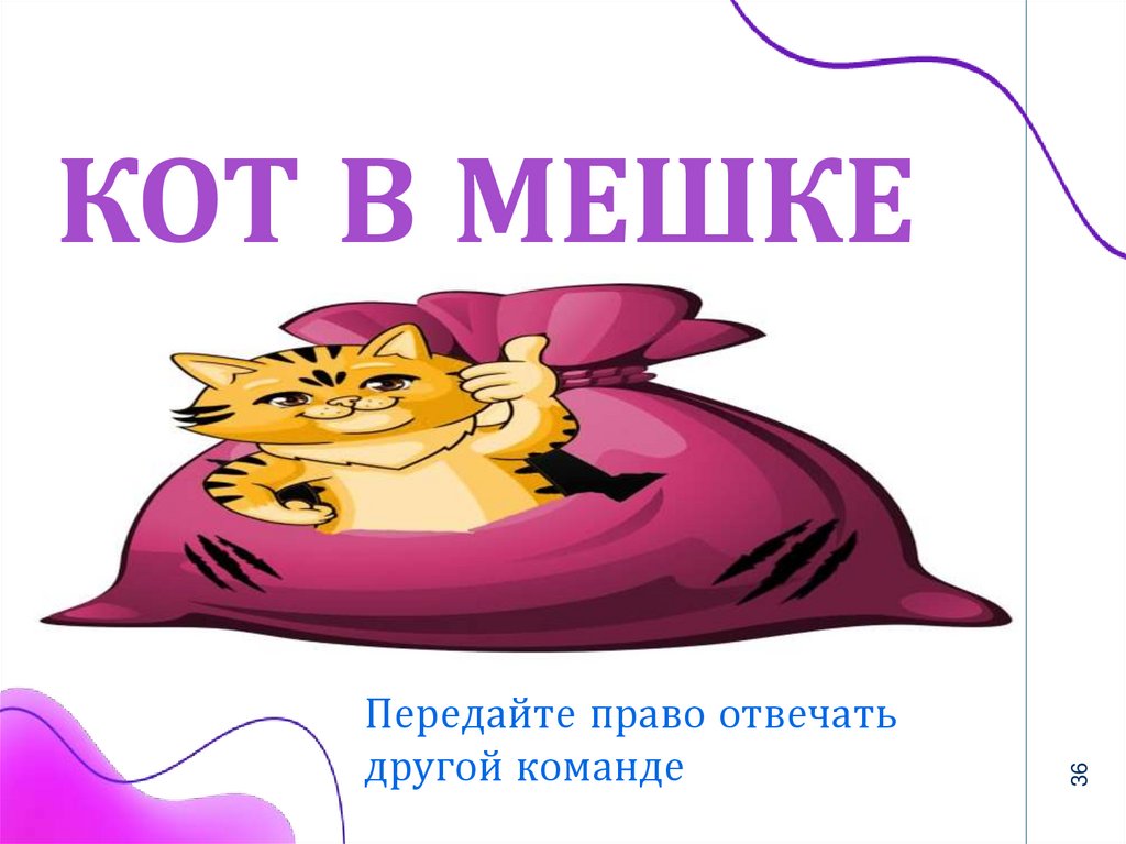 КОТ В МЕШКЕ