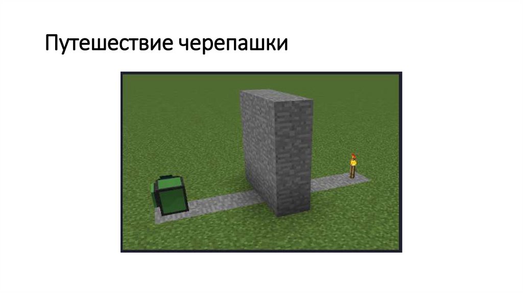  Путешествие черепашки