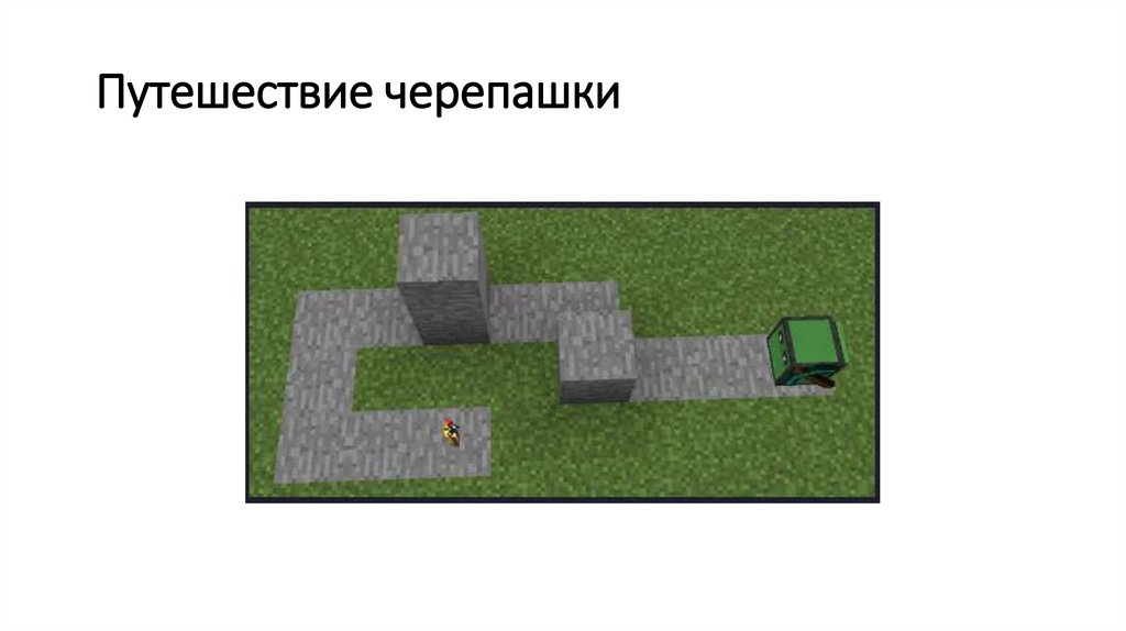  Путешествие черепашки