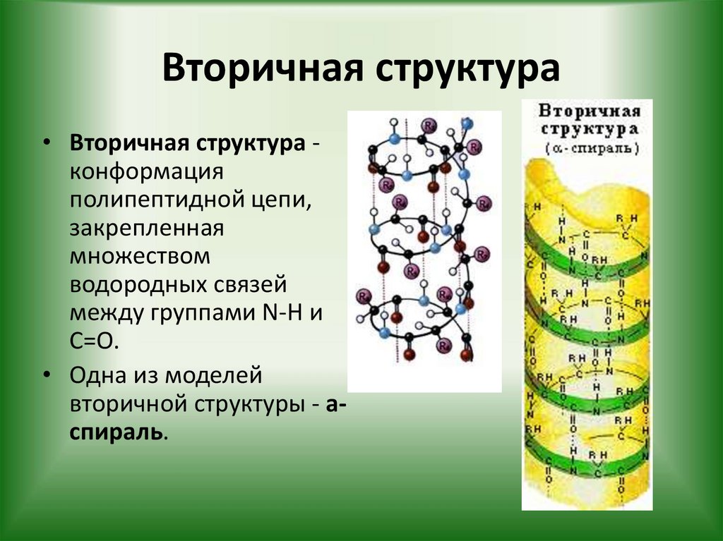 Вторичная структура