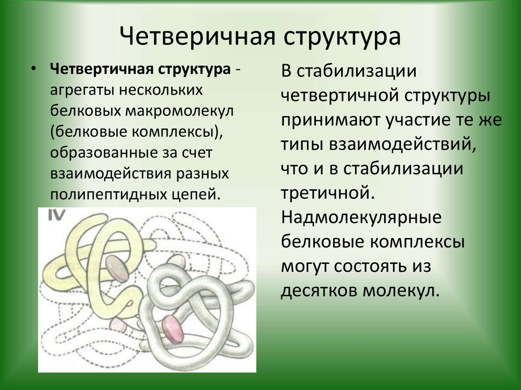 Четверичная структура